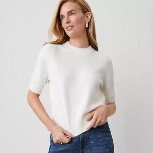 ANN TAYLOR NWT XL Ribbed Trim Crew Neck Sweater Tee in Winter White • Classic